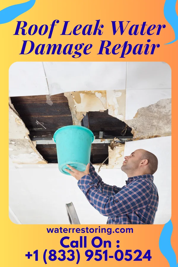 Roof Leak Water Damage Repair in Morse, LA