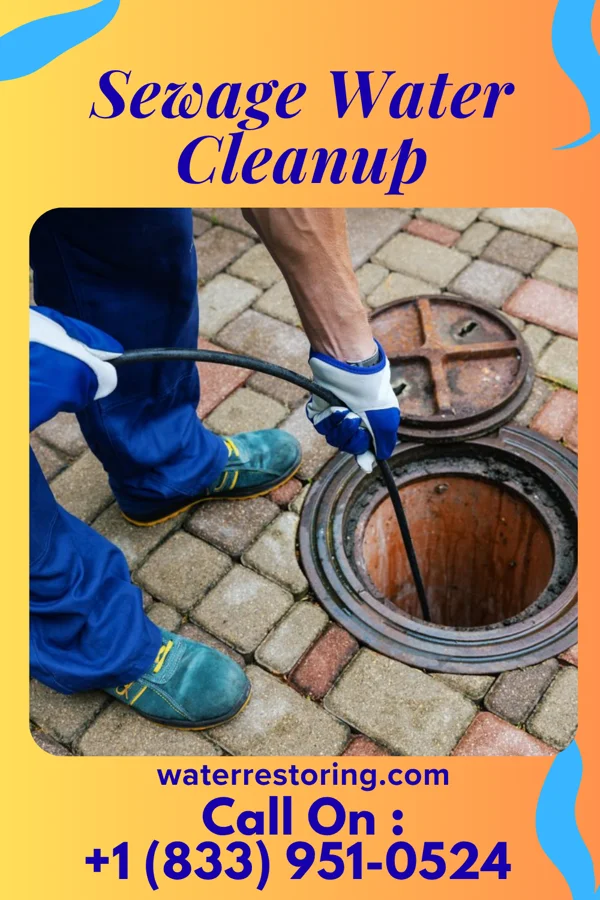 Sewage Water Cleanup in Morse, LA